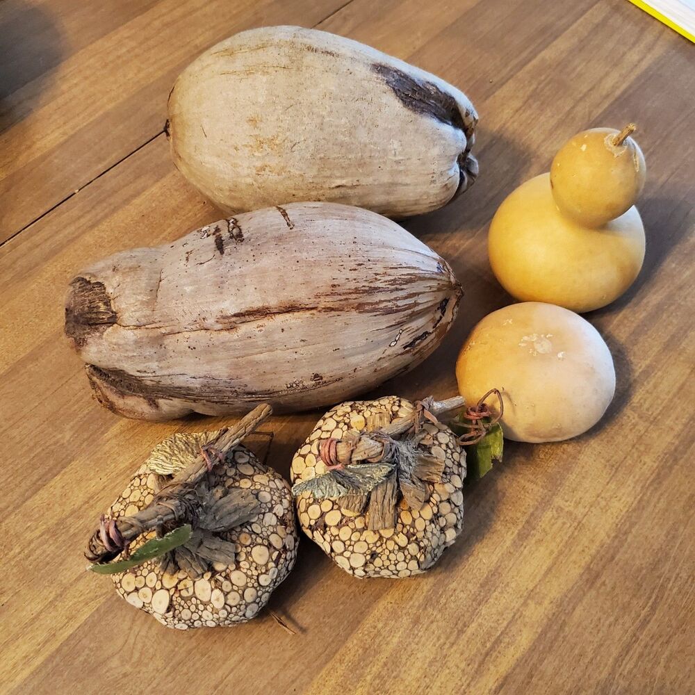 Rustic Gourds & Coconuts